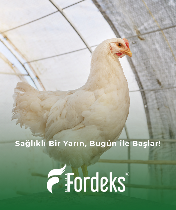 Fordeks İlaç